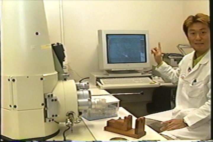 Scanning Electron Microscope 2